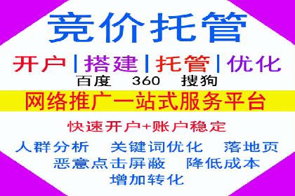 案例分析：百度推广成功案例解析